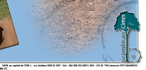 Souches arbres, dessouchage, rognage de souches, destruction de souches, r&eacute;gion PACA, dessoucheur, 06 alpes maritimes, 83 var, am&eacute;nagement de jardins, remise en &eacute;tat de jardins, retrait souches arbres