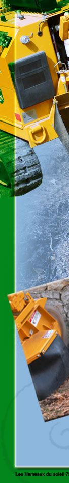 Souches arbres, dessouchage, rognage de souches, destruction de souches, r&eacute;gion PACA, dessoucheur, 06 alpes maritimes, 83 var, am&eacute;nagement de jardins, remise en &eacute;tat de jardins, retrait souches arbres