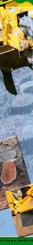 Souches arbres, dessouchage, rognage de souches, destruction de souches, r&eacute;gion PACA, dessoucheur, 06 alpes maritimes, 83 var, am&eacute;nagement de jardins, remise en &eacute;tat de jardins, retrait souches arbres