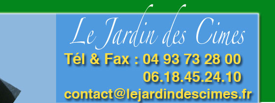 Souches arbres, dessouchage, rognage de souches, destruction de souches, r&eacute;gion PACA, dessoucheur, 06 alpes maritimes, 83 var, am&eacute;nagement de jardins, remise en &eacute;tat de jardins, retrait souches arbres